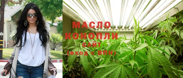 сатива Бородино
