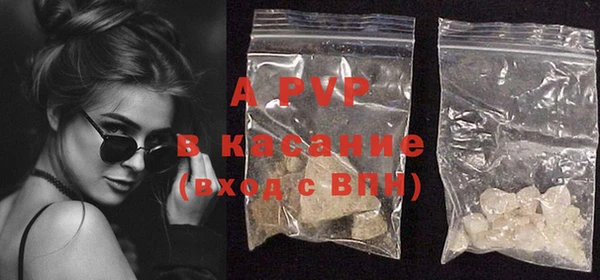 амф Богданович