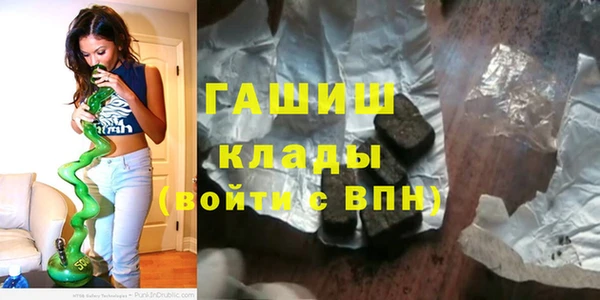 сатива Бородино