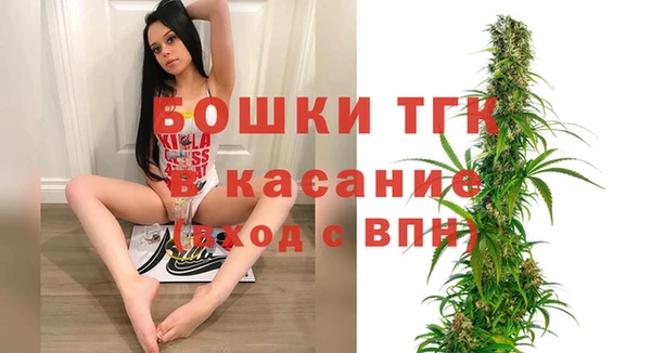 амф Богданович